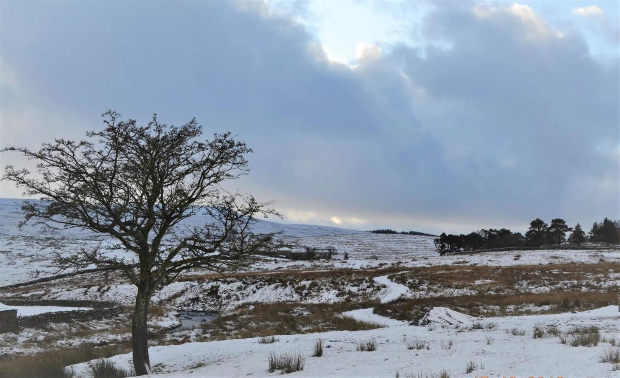 The Garsdale Bed & Breakfast - Goats And Oats At Garsdale Hawes Luaran gambar